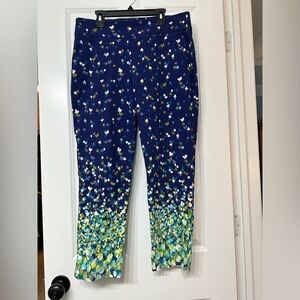 Excellent Condition Attyre 12 Petite Pull on Ankle Pants, Multi Colored Print